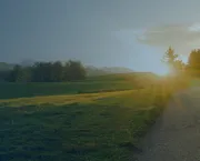 sunset with winding road in nature with blue overlay