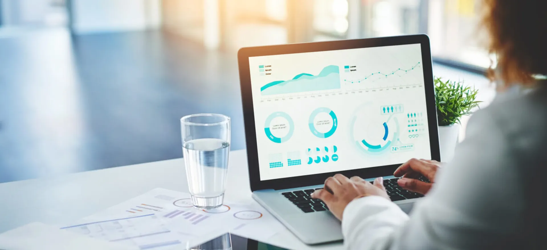 Analytics Strategy/Roadmap