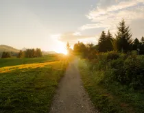 sun rise over rural road