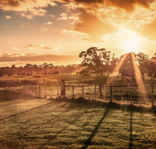 rural landscape with sun shining