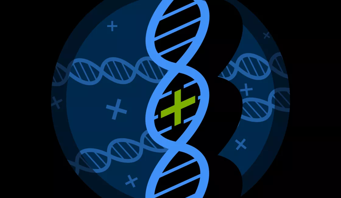 about-us-dna